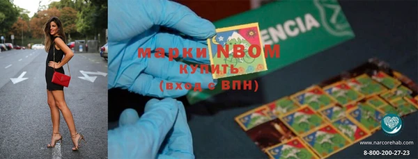 индика Баксан