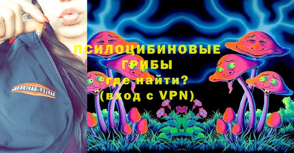 индика Баксан