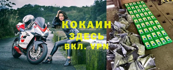индика Баксан