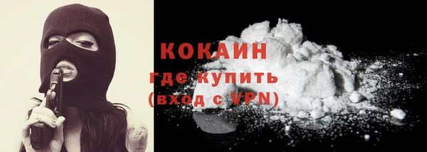 индика Баксан