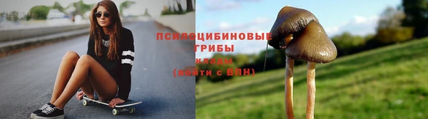 индика Баксан