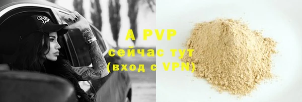 индика Баксан