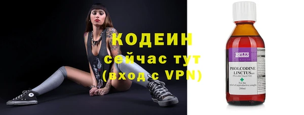 индика Баксан