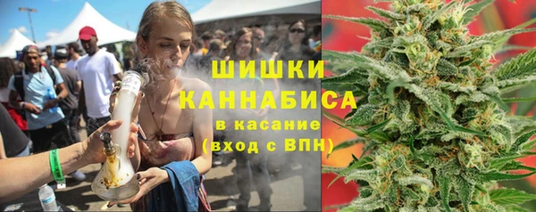 индика Баксан