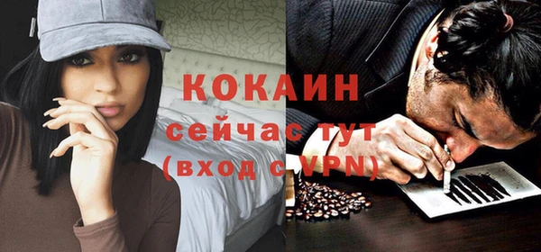 стаф Балахна
