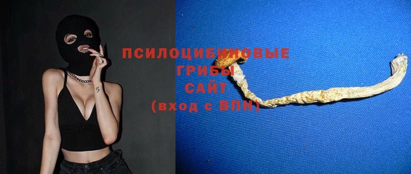 стаф Балахна