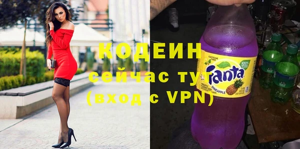 индика Баксан
