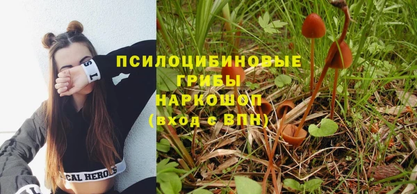 индика Баксан